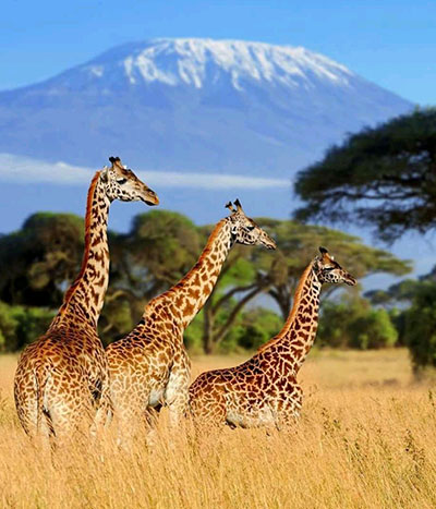 Serengeti National Park